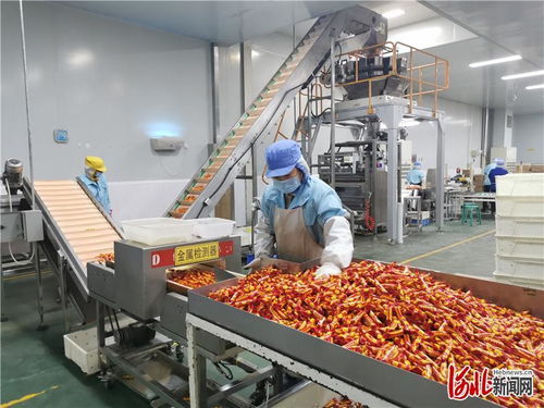 河北定興 做優 舌尖 上的產業集群